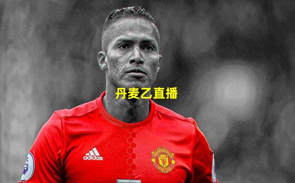 丹麦乙直播