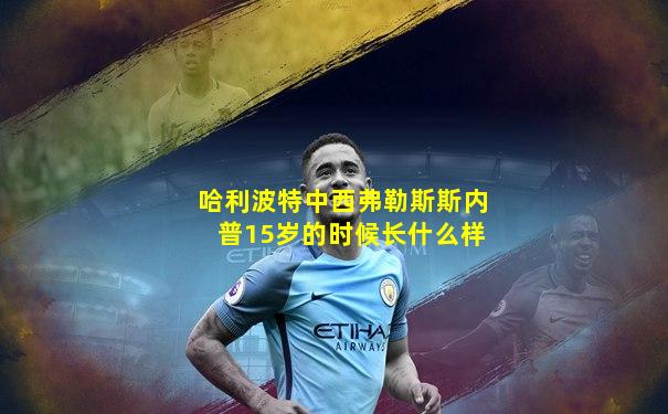 哈利波特中西弗勒斯斯内普15岁的时候长什么样