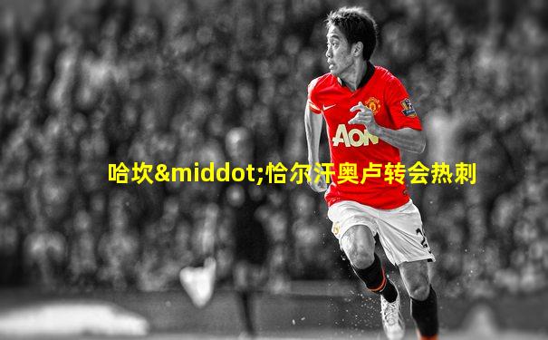 哈坎·恰尔汗奥卢转会热刺