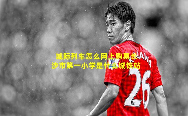 城际列车怎么网上购票长沙市第一小学是什么城铁站