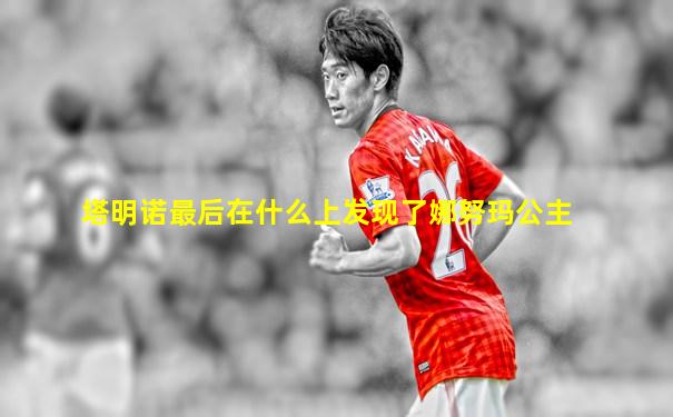 塔明诺最后在什么上发现了娜努玛公主