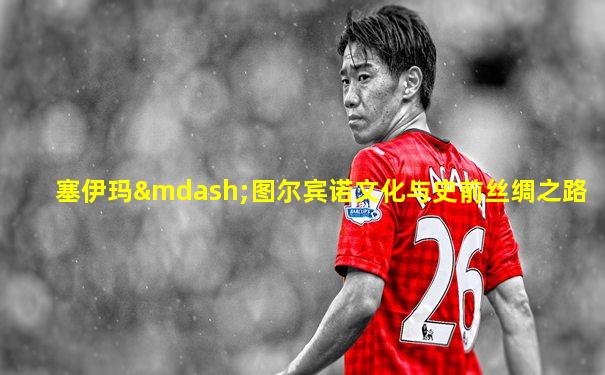 塞伊玛—图尔宾诺文化与史前丝绸之路