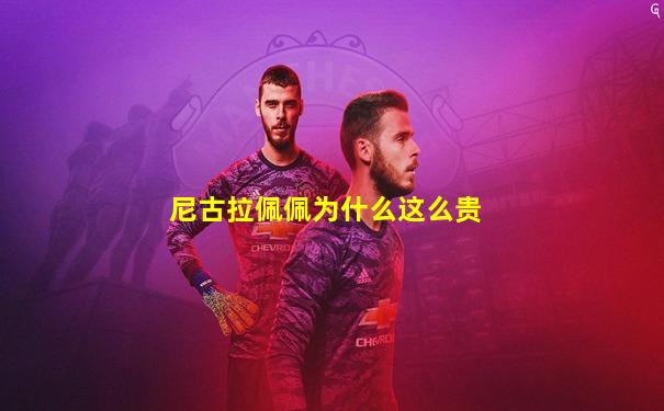 尼古拉佩佩为什么这么贵