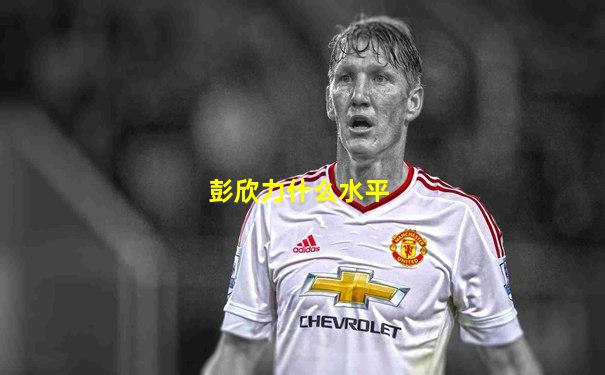彭欣力什么水平