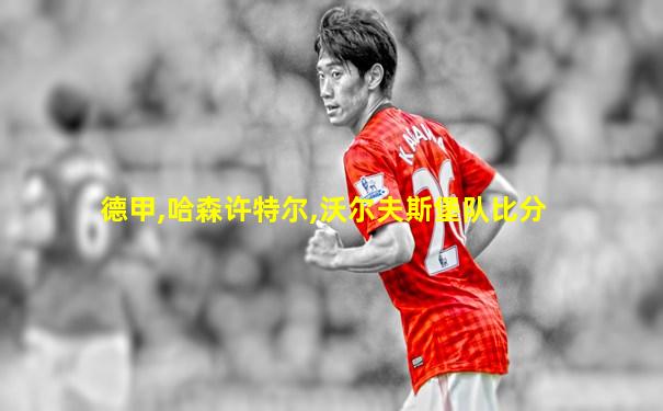 德甲,哈森许特尔,沃尔夫斯堡队比分