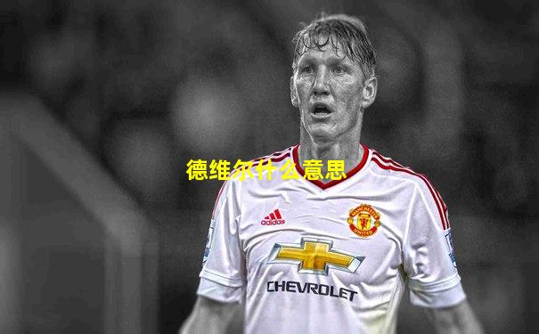 德维尔什么意思