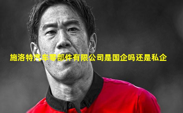 施洛特汽车零部件有限公司是国企吗还是私企