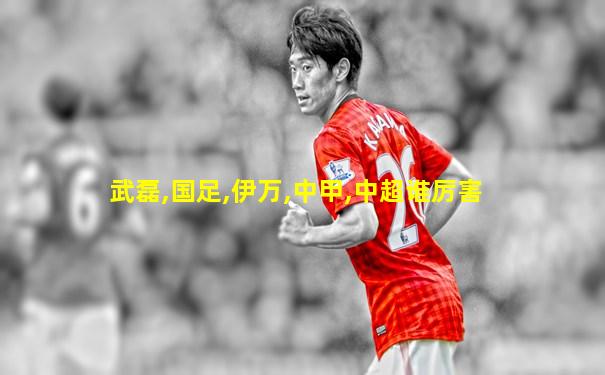 武磊,国足,伊万,中甲,中超谁厉害