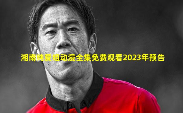 湘南纯爱组动漫全集免费观看2023年预告