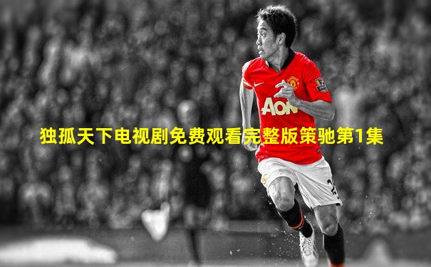 独孤天下电视剧免费观看完整版策驰第1集