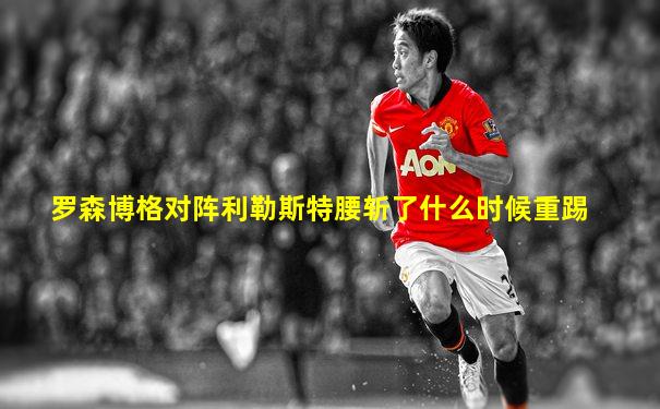 罗森博格对阵利勒斯特腰斩了什么时候重踢